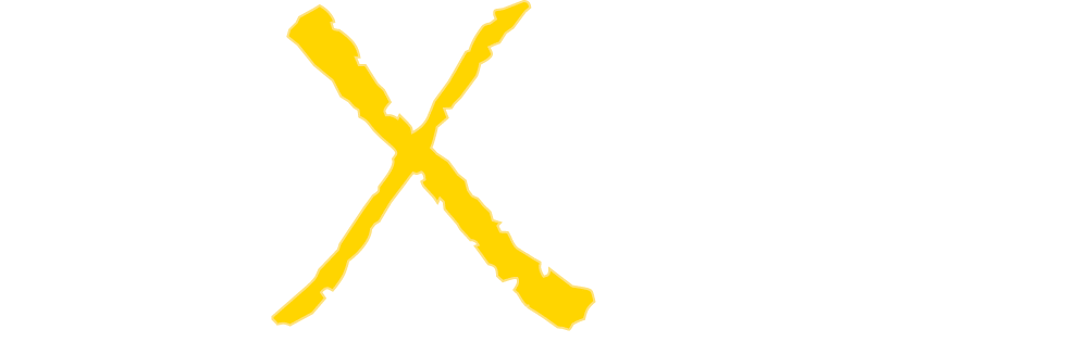 proXplus Logo weiss